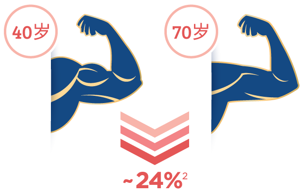 Muscle loss over 30 years