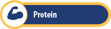 Protein