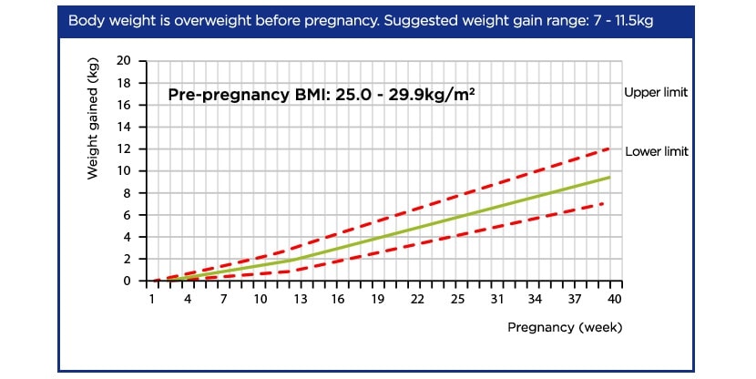 How To Calculate Your Pregnancy Bmi