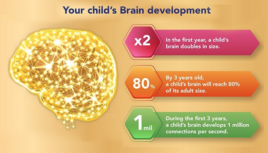your child's brain development