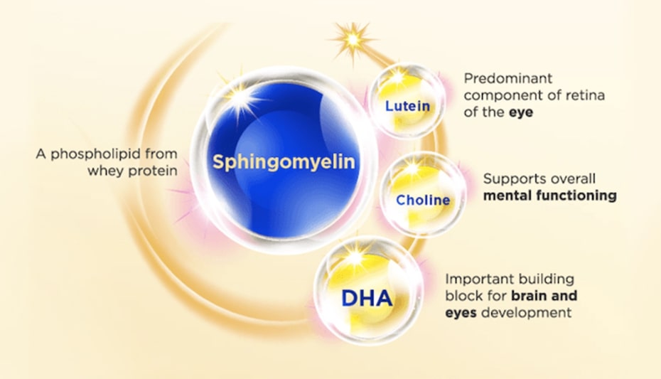 Enhancing Brain Connections