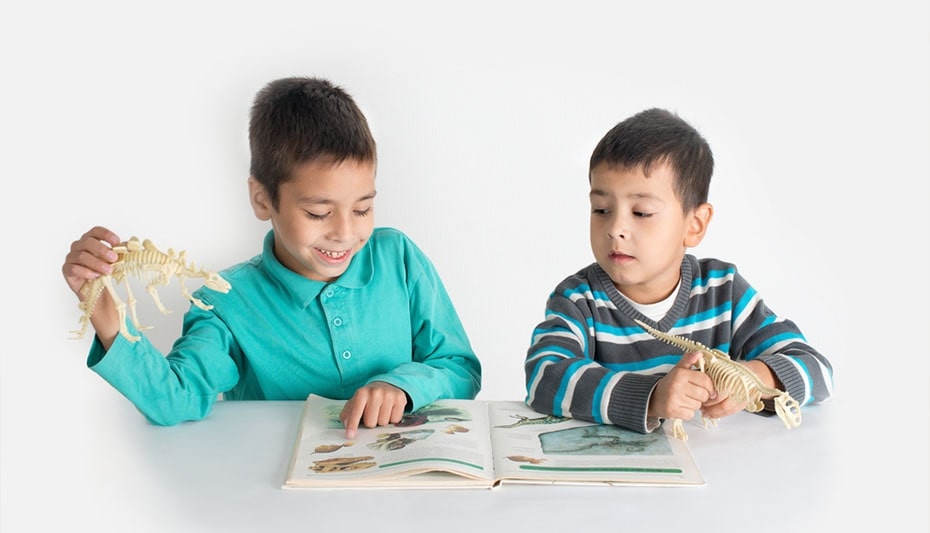 2 boys playing with dinosaurs