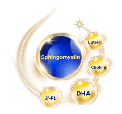 sphingomyelin