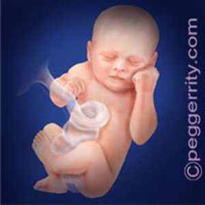 Trimester3-Week36