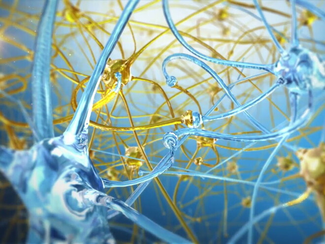 sphingomyelin-myelination
