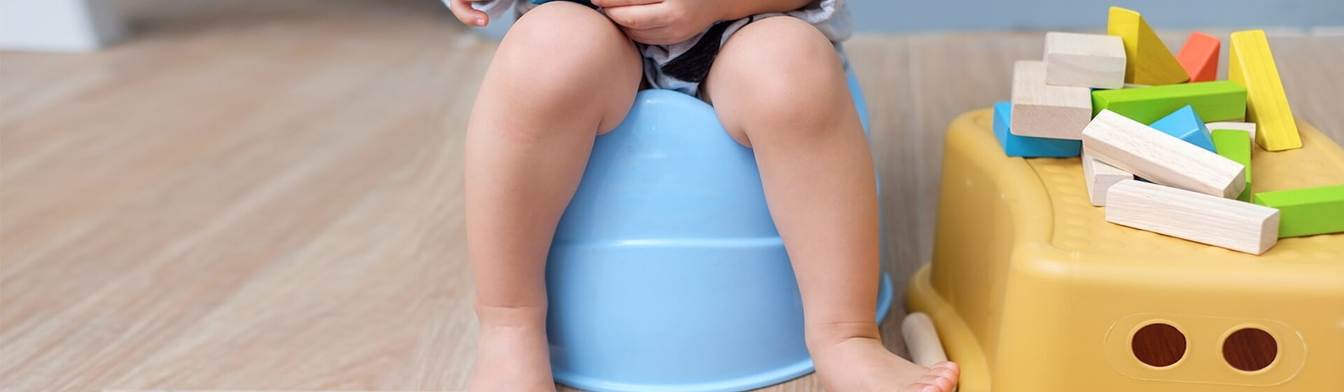 Potty Training Potty Training