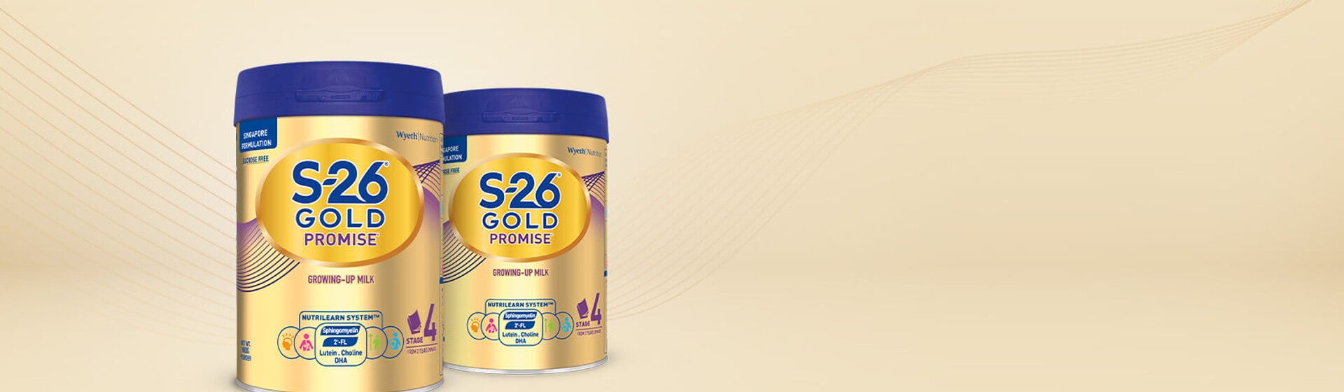 Promise Deal Banner