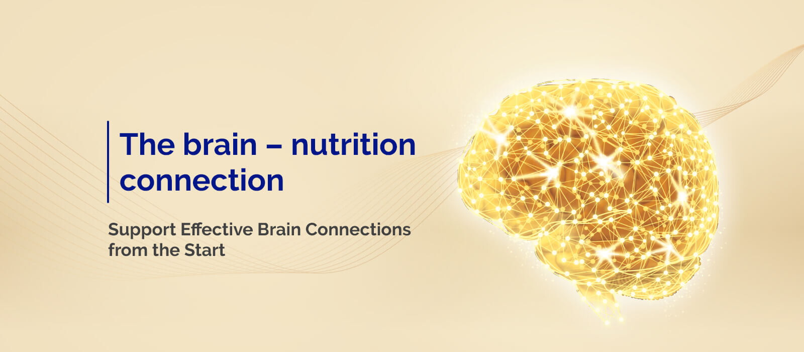 The brain nutrition connection