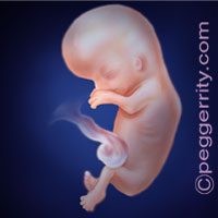 Trimester1-Week10 Trimester1-Week10