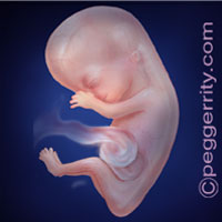 Trimester1-Week11 Trimester1-Week11