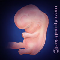 Trimester1-Week8 Trimester1-Week8