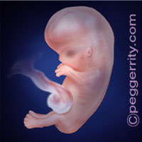 Trimester1-Week9 Trimester1-Week9