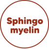 Sphingomyelin in Milk